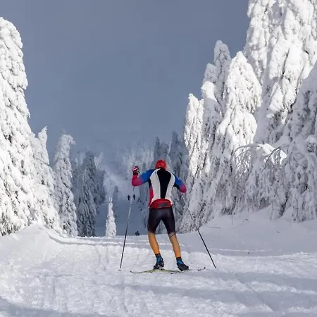 Apartment Sonnenberg - Klínovec