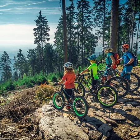 Apartment Sonnenberg - Klínovec