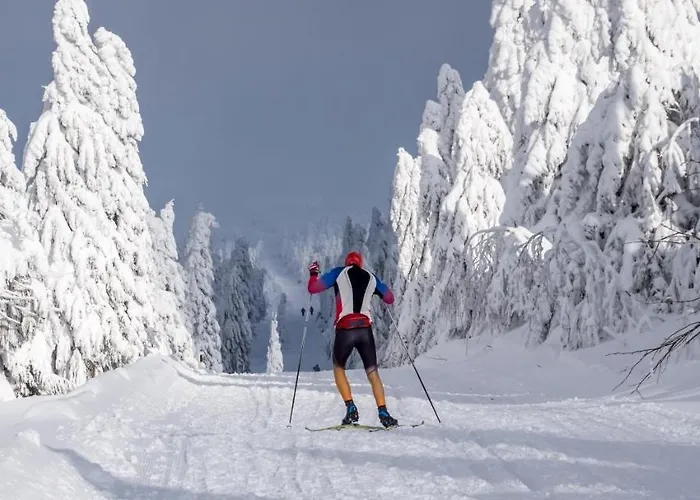 Apartmán Sonnenberg - Klínovec